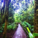 9f8625b6-bf27-44ed-9823-0bbc10e46abd