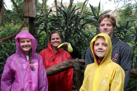 IMG_5849 FAMILY & TOUCAN