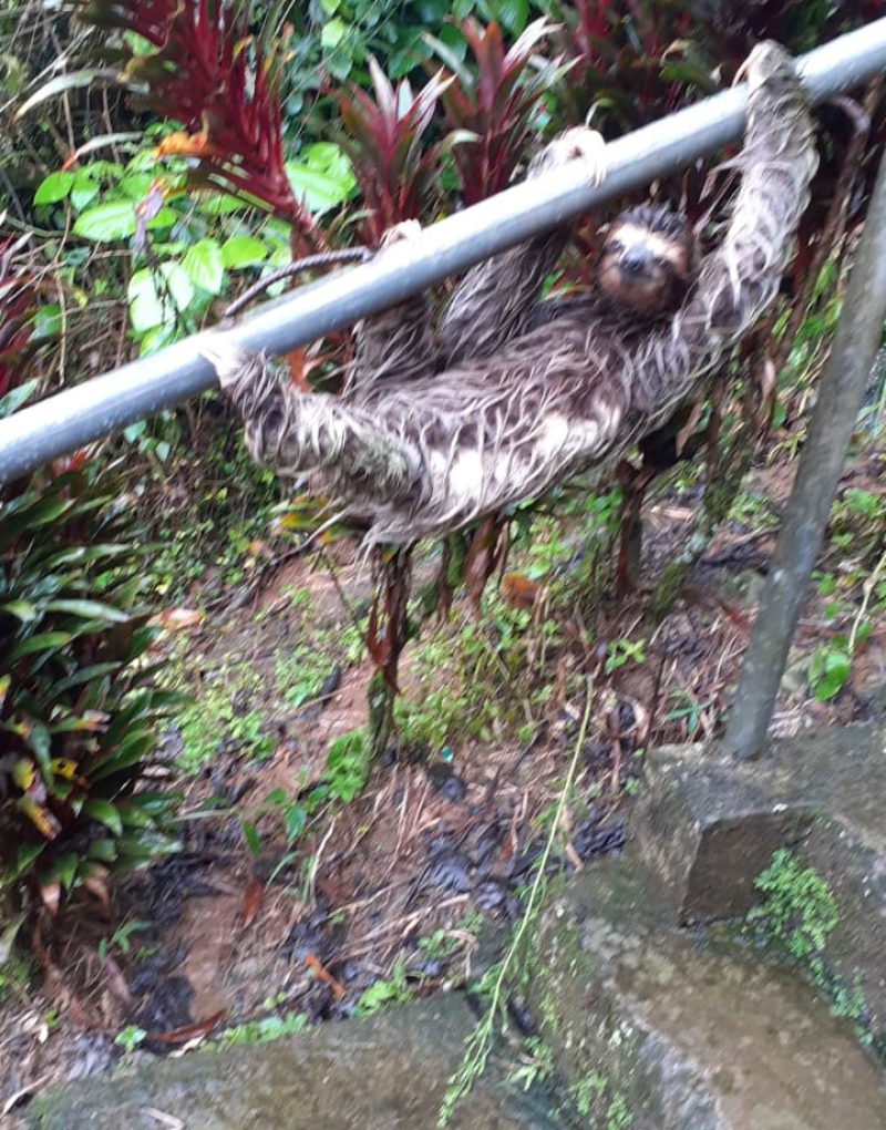 PHOTO-2021-07-23-14-21-27