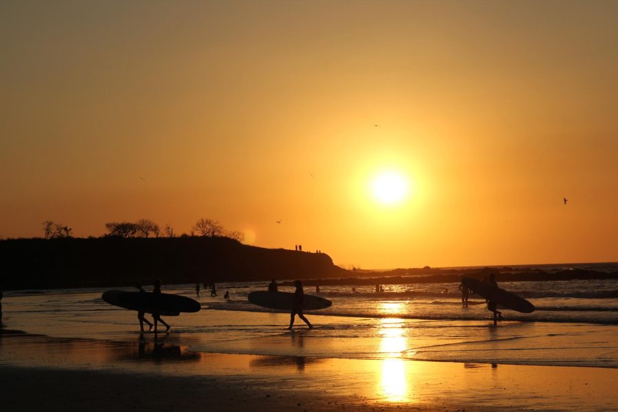 surf